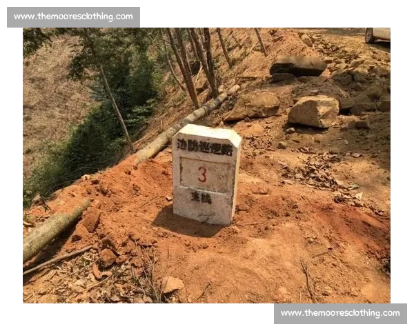 以封堵为核心推动风险防控体系协同升级与治理能力现代化路径